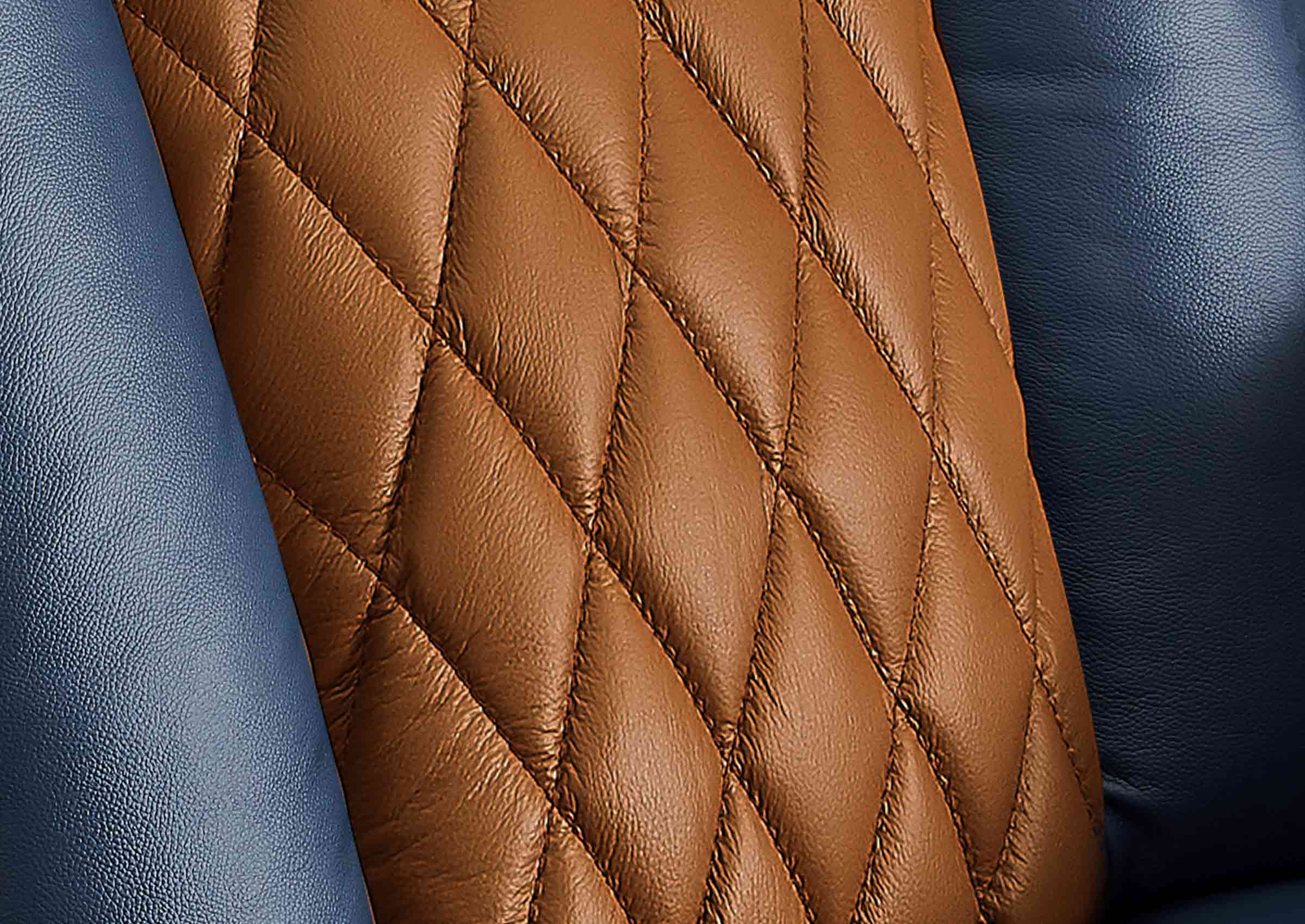 #color_Blue / Tan Oak