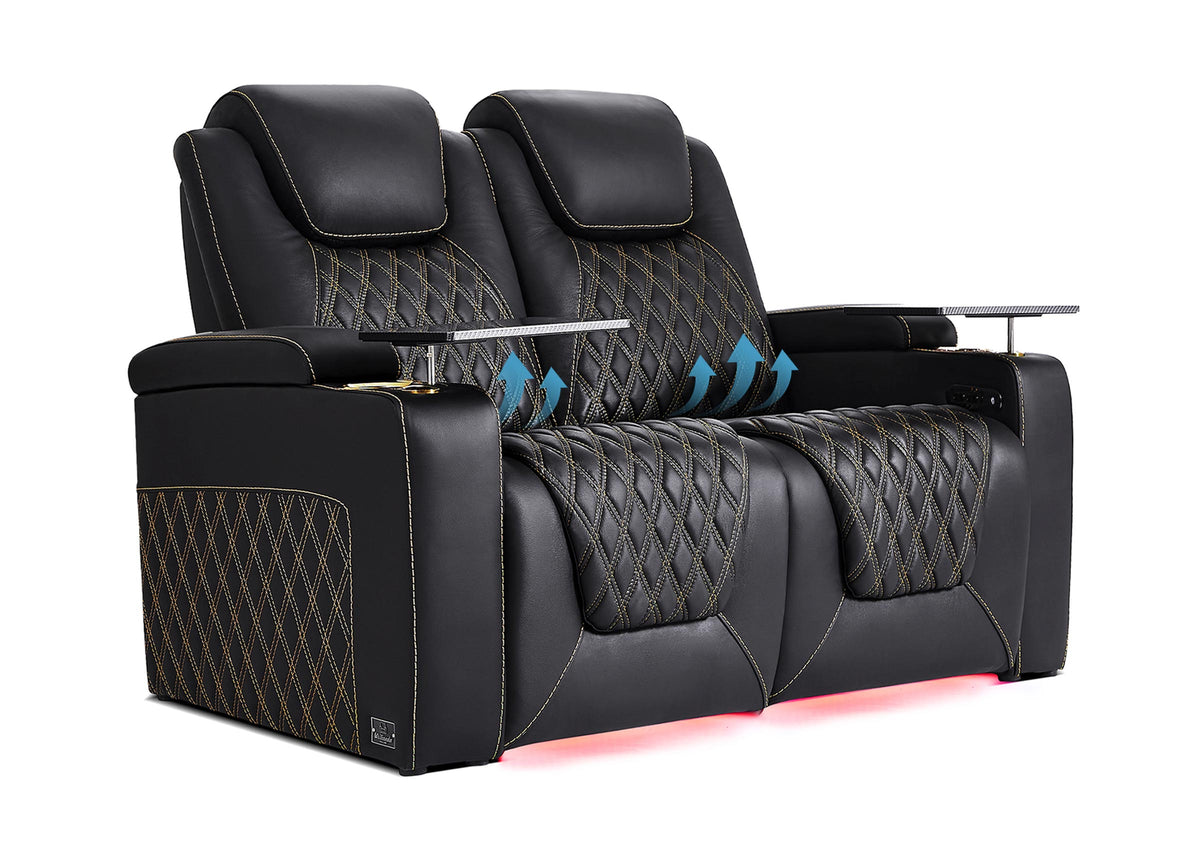 Weilianda Chic Lumbar Series 2-Seat Home Theater Sofa with Ergonomic Lumbar Support