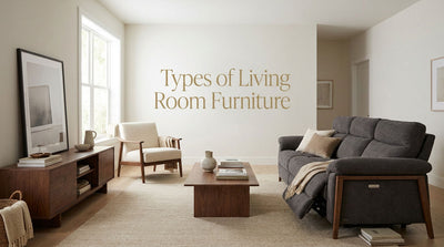 Types of living room furniture arranged in a comfortable modern space