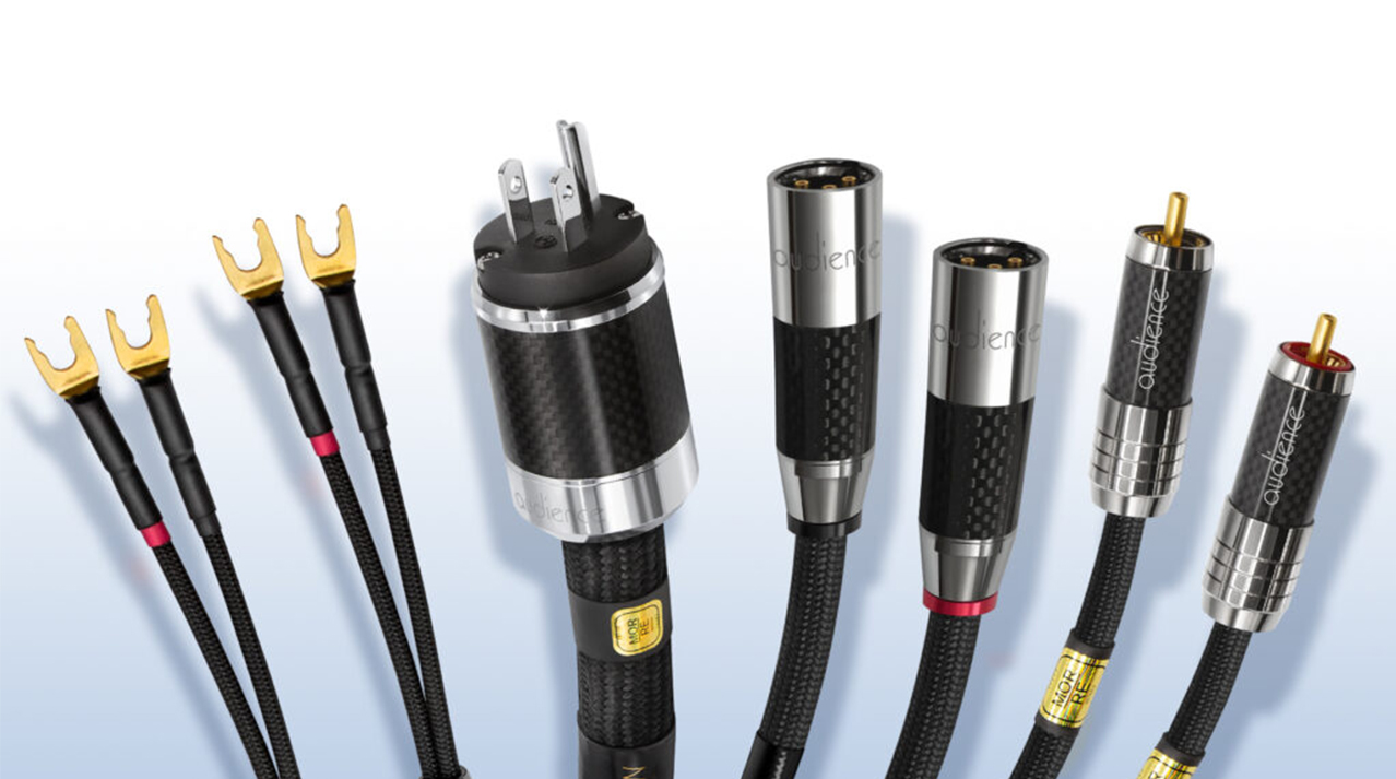 The Ultimate Guide to Home Theater Speaker Cables